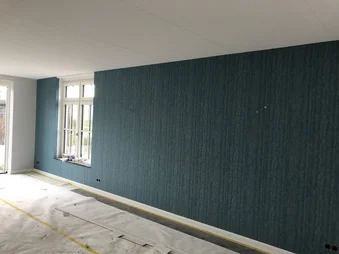 Renovlies en afwerking